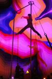 Cabaret Croise 39 * 5184 x 3456 * (9.22MB)